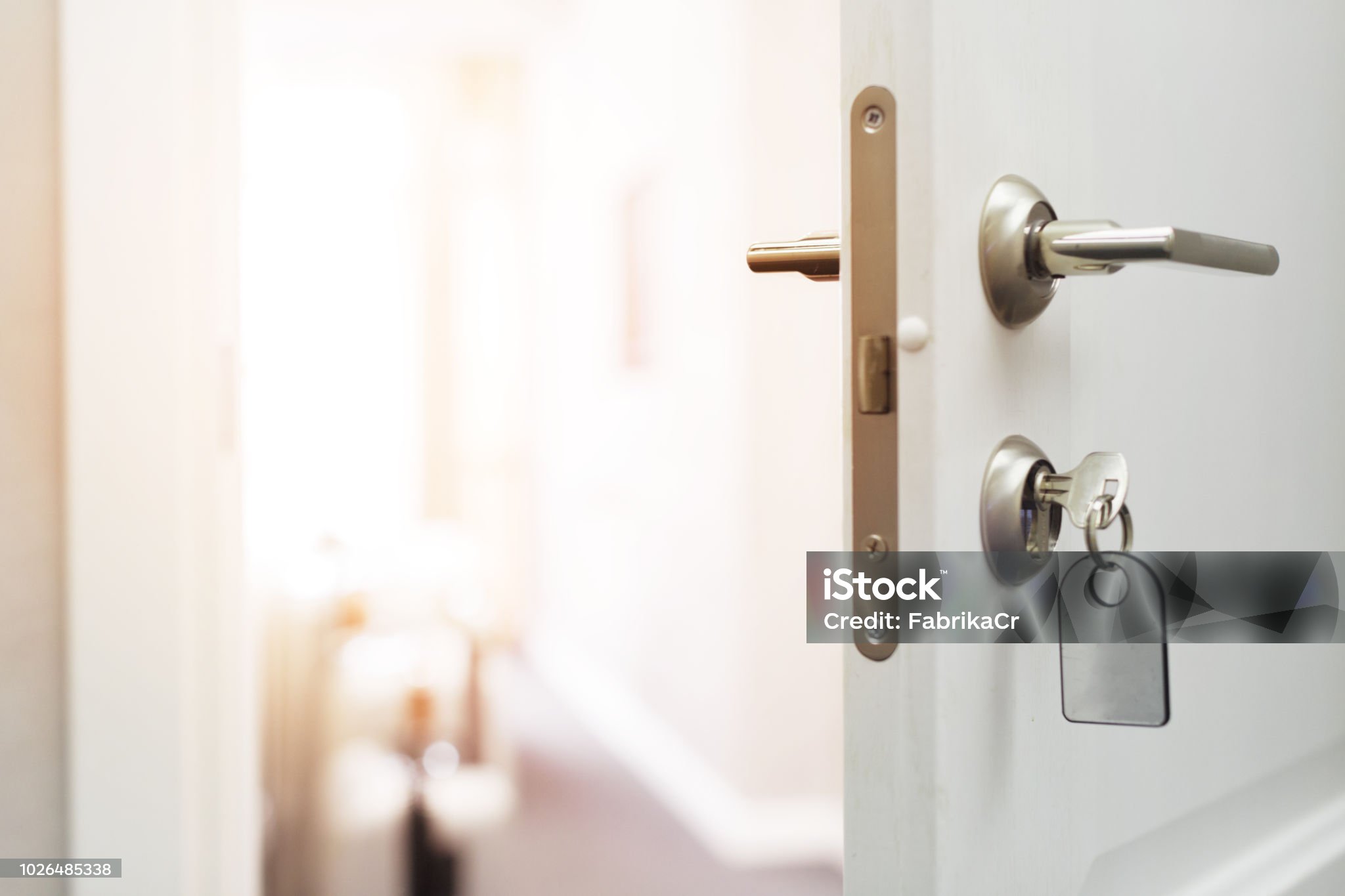 Opening a hotel door concept