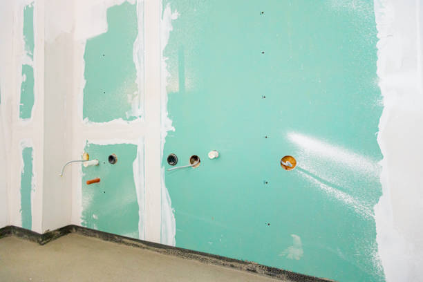 istockphoto-1449291202-612x612