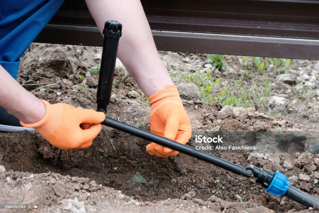 istockphoto-2164341283-2048x2048