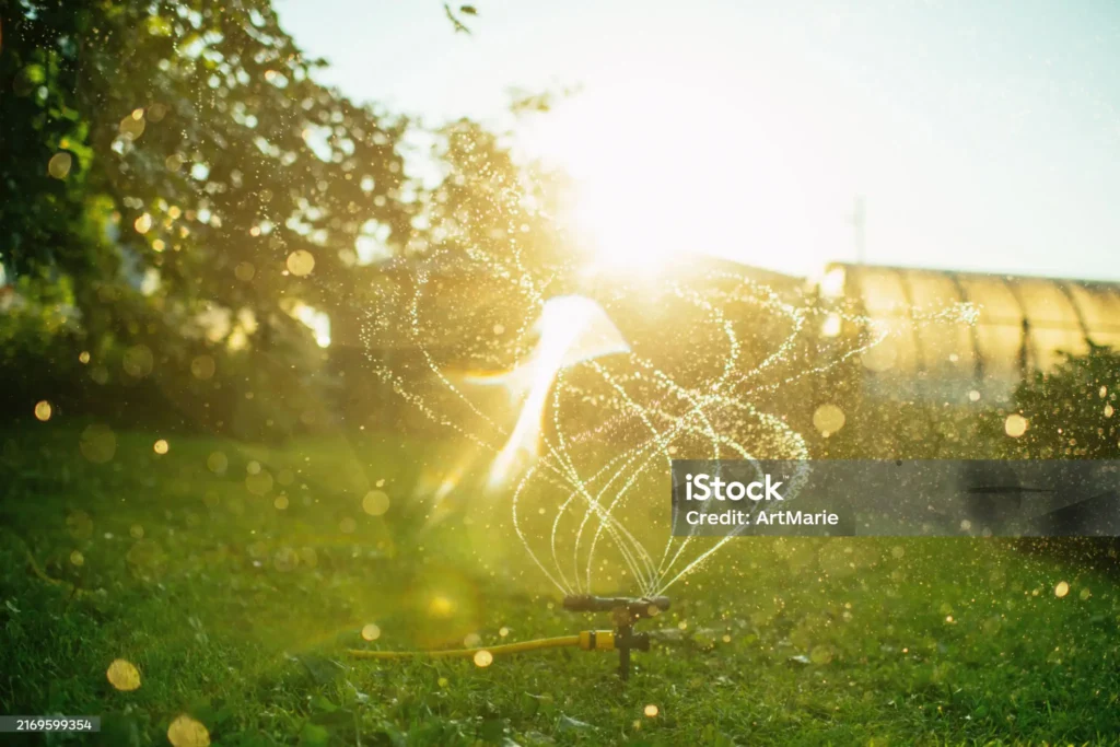 istockphoto-2169599354-2048x2048
